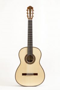 Full front Special Model - Bottelli Guitars